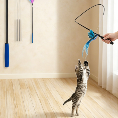 Spring cat wand with rods, steel wires, and feather refills