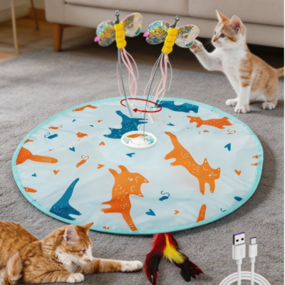 2-in-1 motion activated rechargeable toy