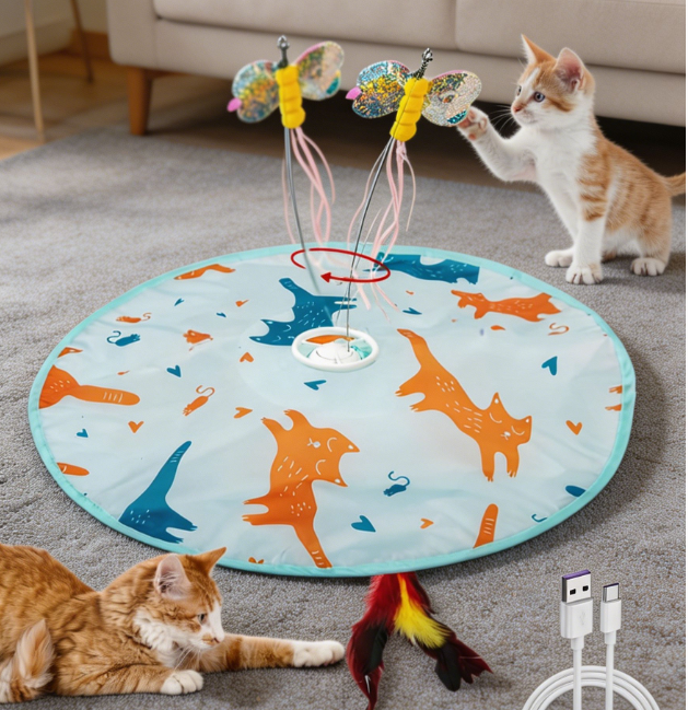 2-in-1 motion activated rechargeable toy